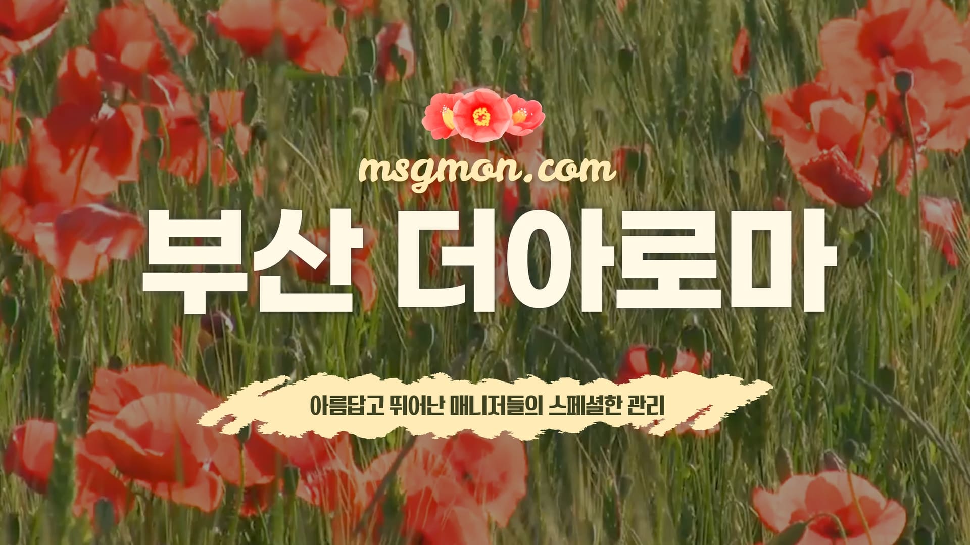 부산 더아로마